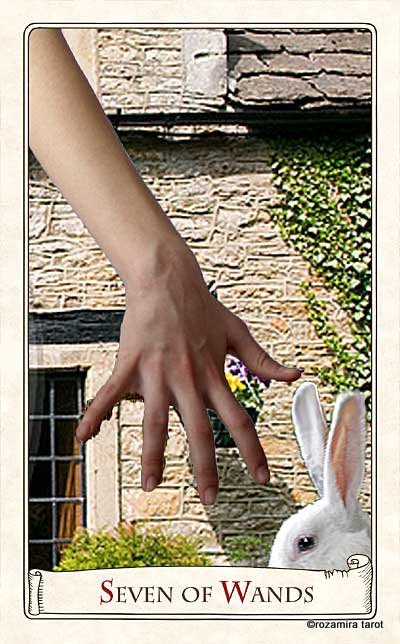 Alice Tarot